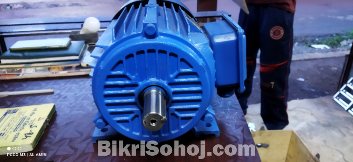 BG 5.5 HP 2800 RPM Induction Motor